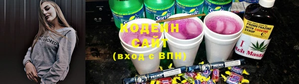 дмт Алексин