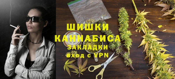 прущие крисы Пересвет