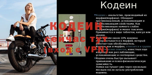 индика Осинники