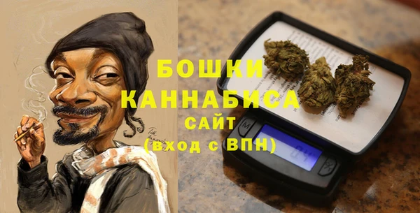 сатива Арсеньев