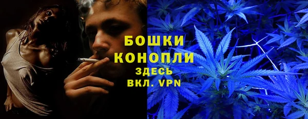 сатива Арсеньев