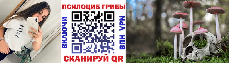 Галлюциногенные грибы MAGIC MUSHROOMS  Краснослободск 